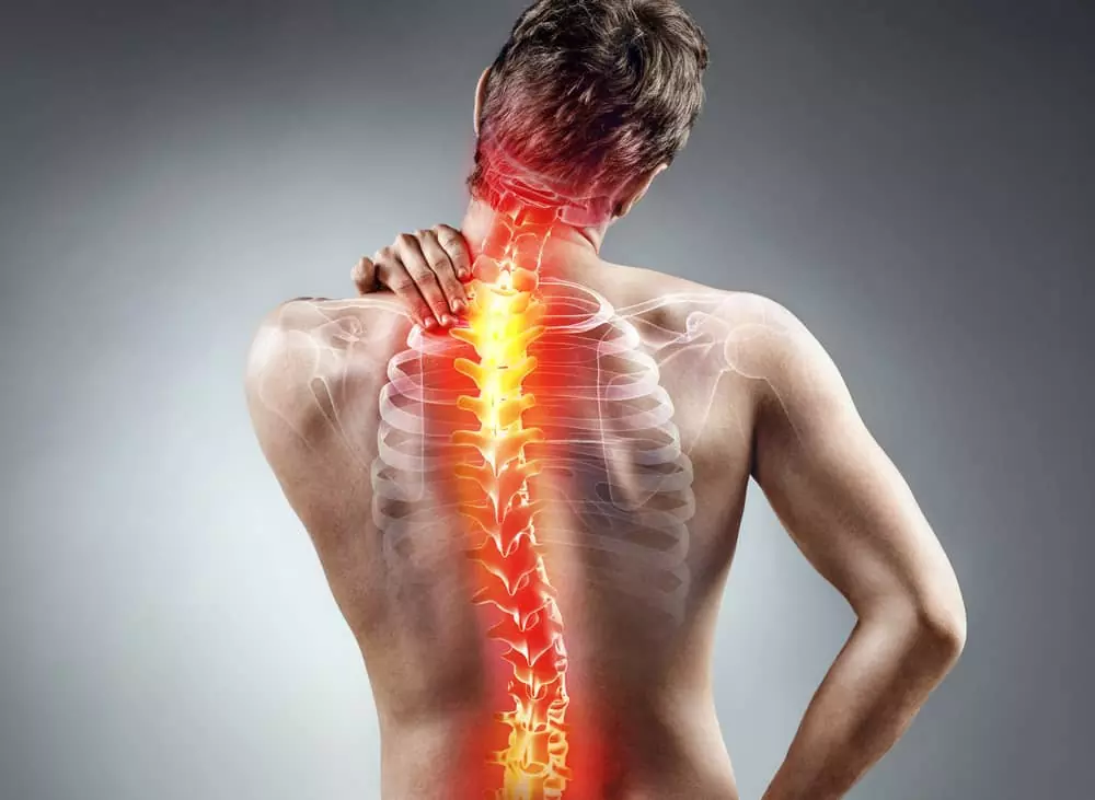 Chronic pain assessment with a CORPEO physiotherapist
